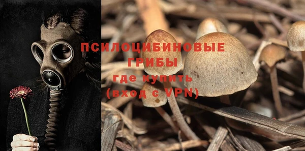 ГАЛЛЮЦИНОГЕННЫЕ ГРИБЫ Гусиноозёрск