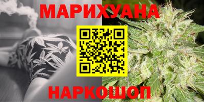 Альфа ПВП Малгобек