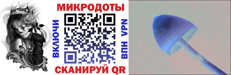 Псилоцибиновые грибы мухоморы Дивногорск