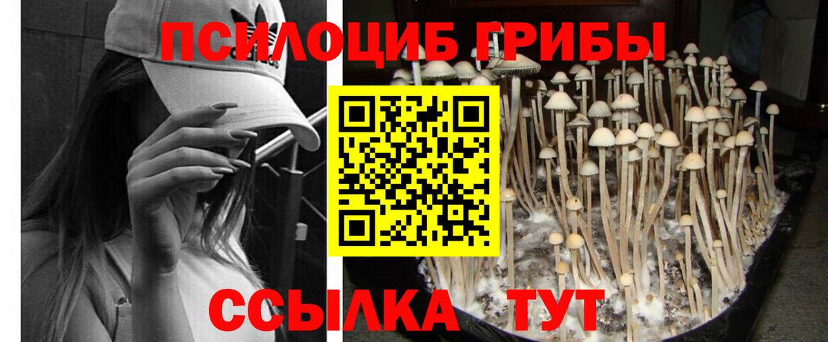 Псилоцибиновые грибы ЛСД Дивногорск