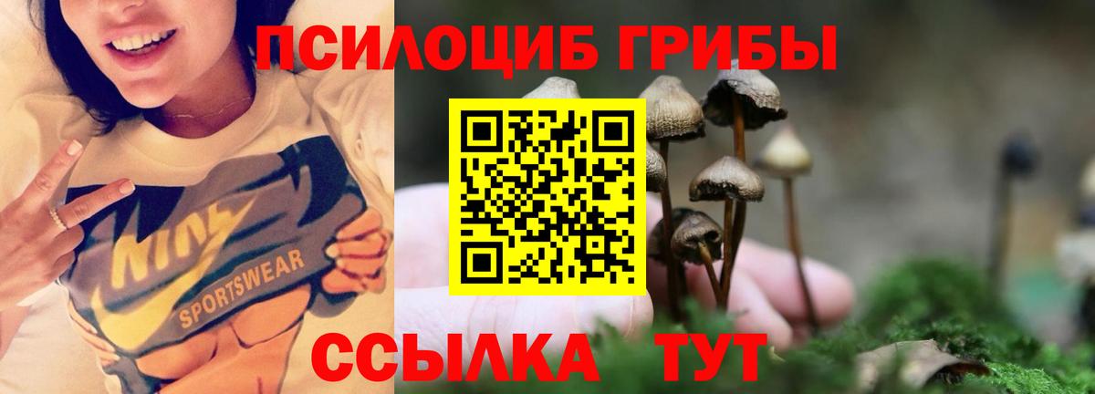 Дивногорск  Псилоцибиновые грибы Cubensis  Вход с VPN 